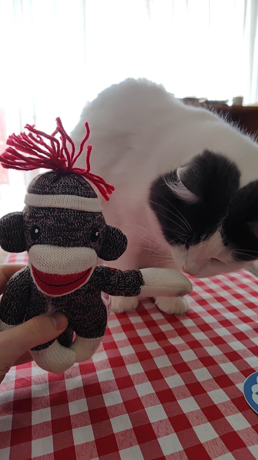 Customer photo of a sock monkey gift